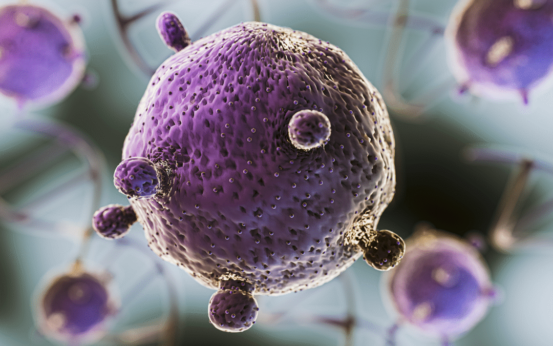 O HPV e a Importância da Vacinação