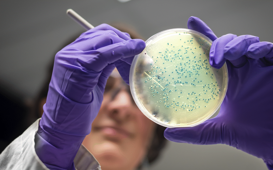 Hepatite B: Considerações Gerais e a Importância da Vacinação